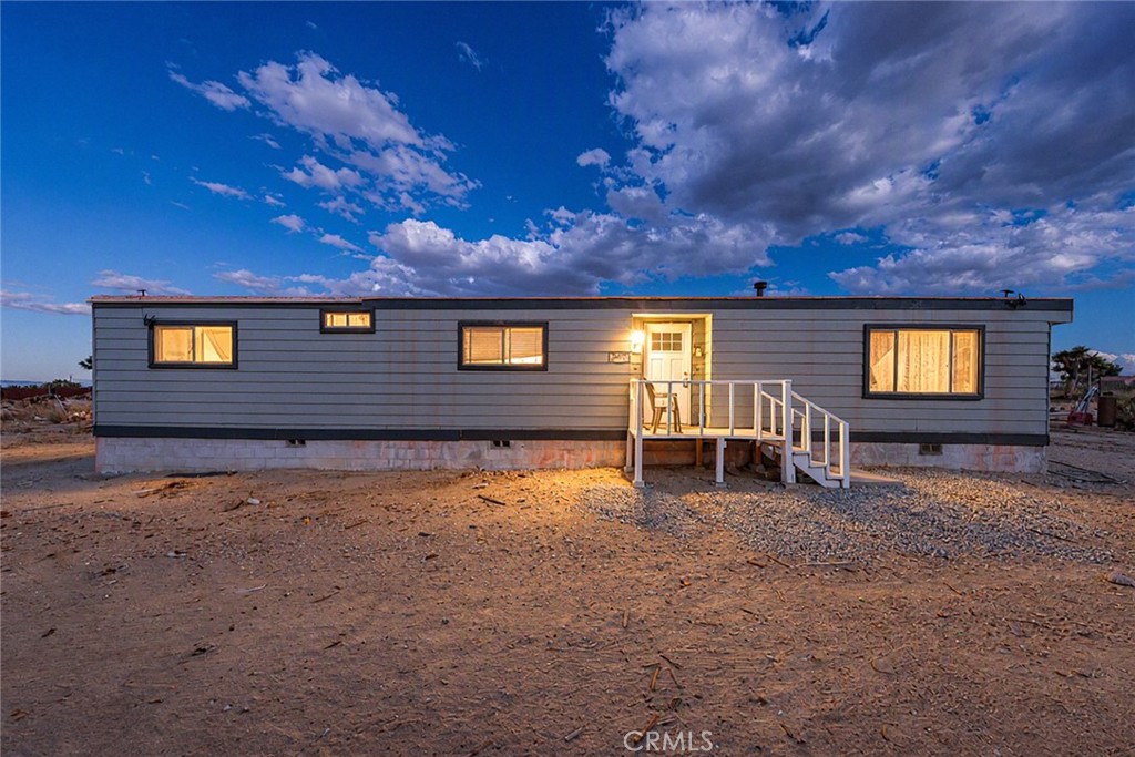 13475 Ailanthus — photo