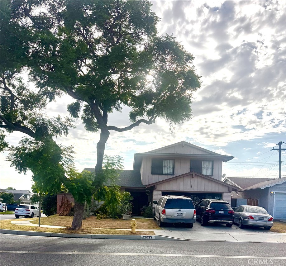 20123 Camba — photo