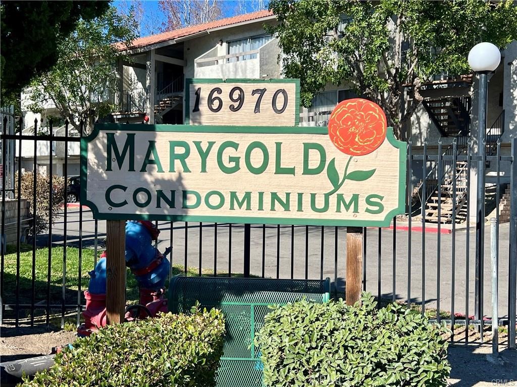 16970 Marygold 1 — photo