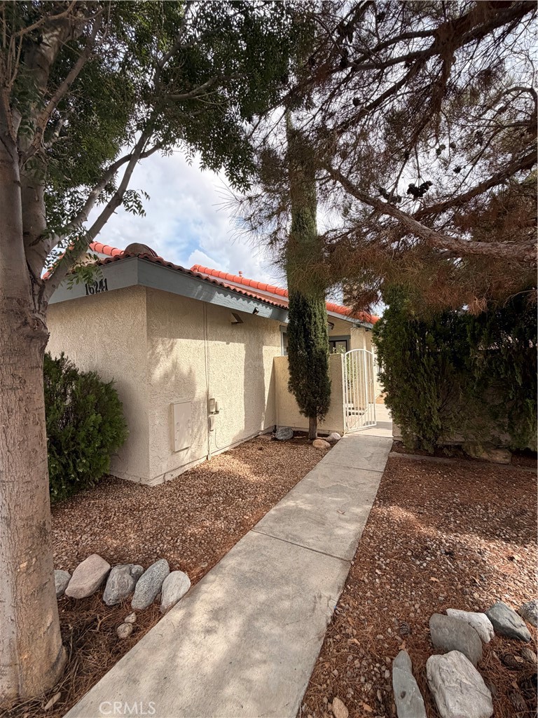 16241 Tokay — photo