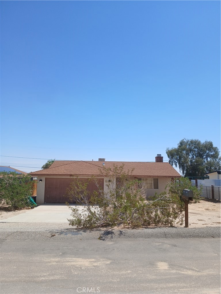 5333 Baileya — photo