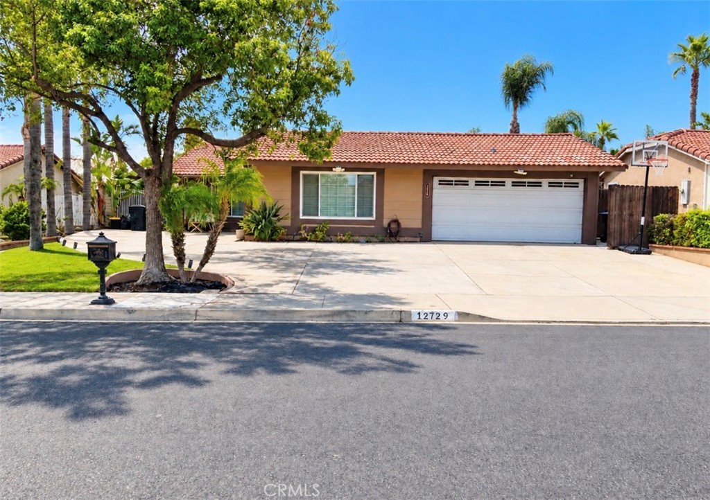 12729 Argo — photo