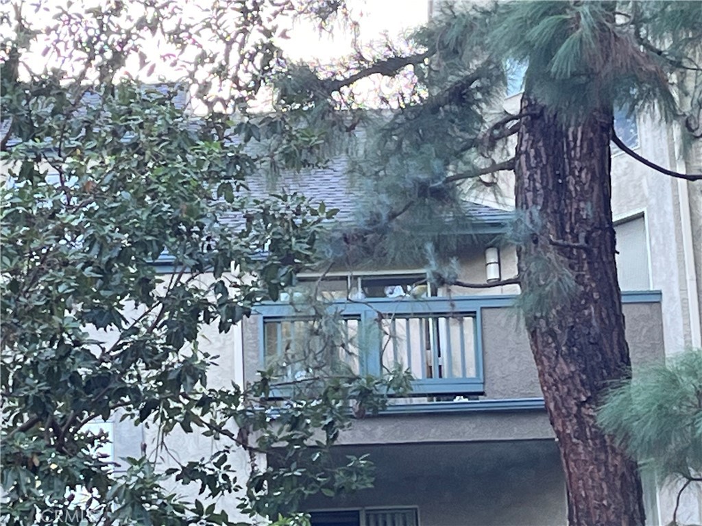 1445 Brett — photo