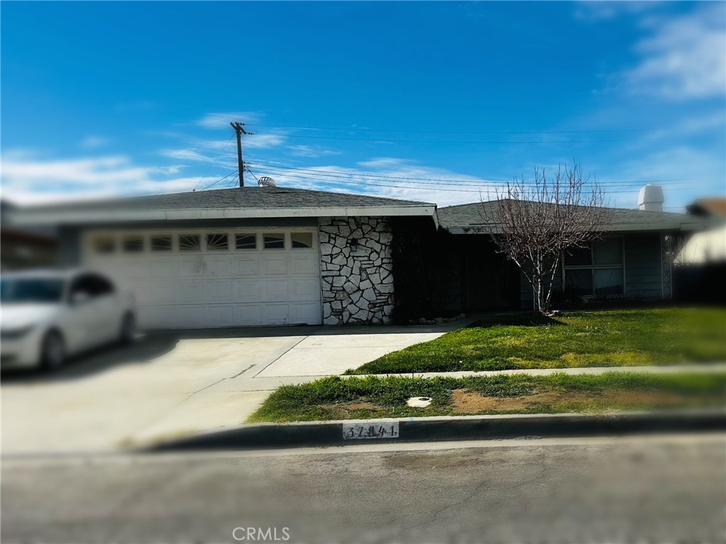 37841 Rudall — photo