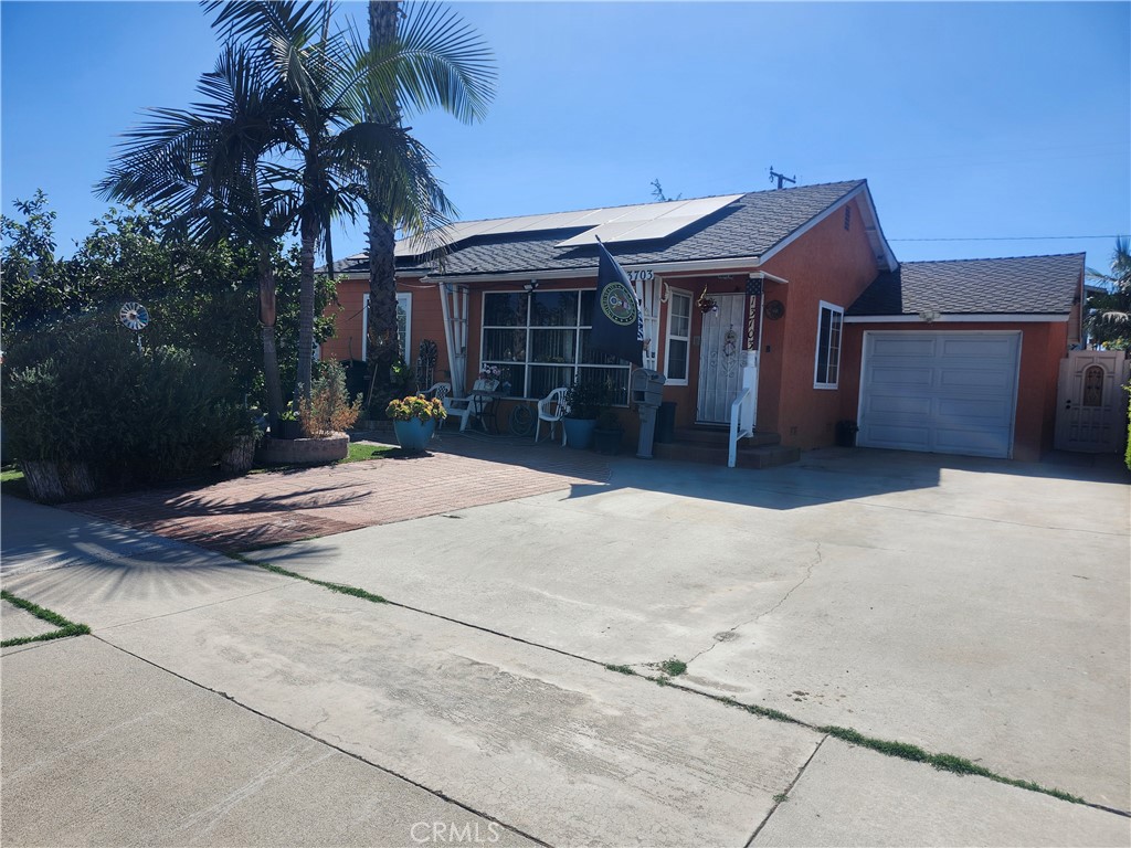 13703 Carpintero — photo
