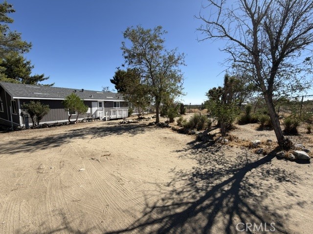 278 Yucca — photo