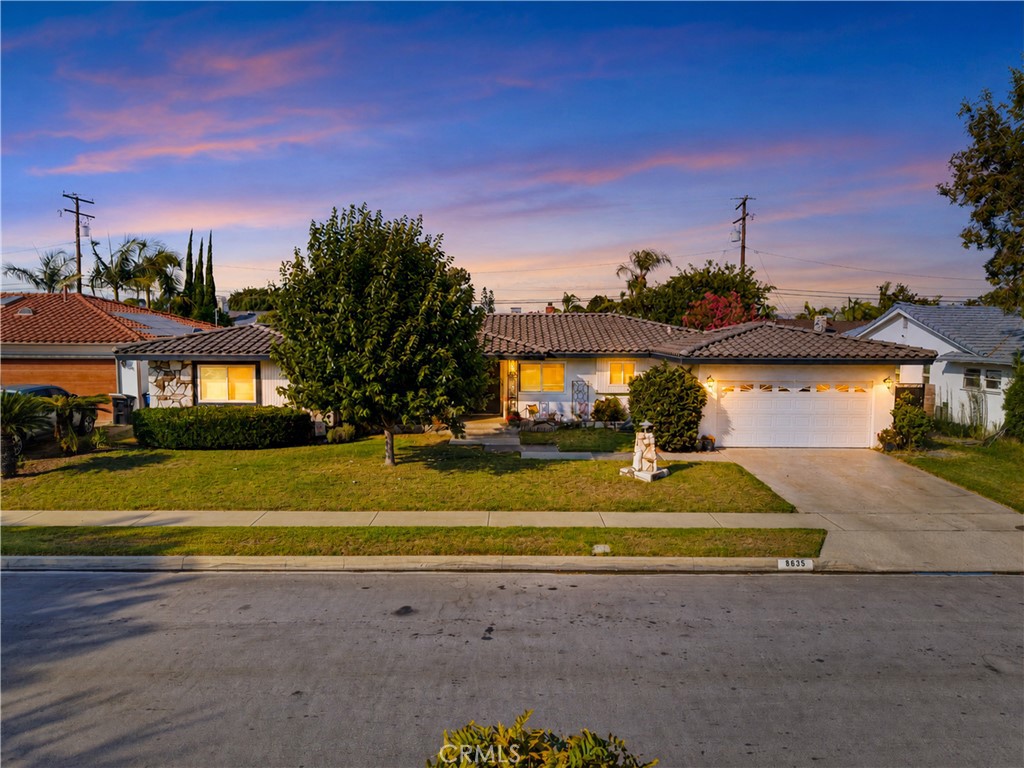8635 Muller — photo
