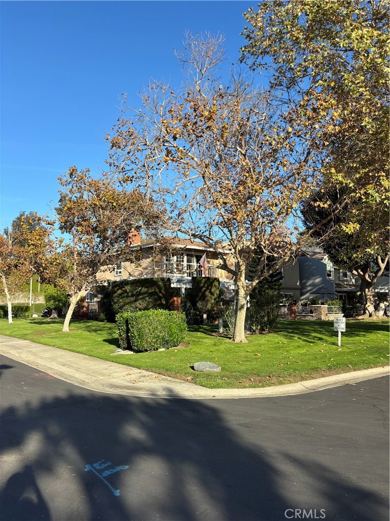 24662 Toledo — photo