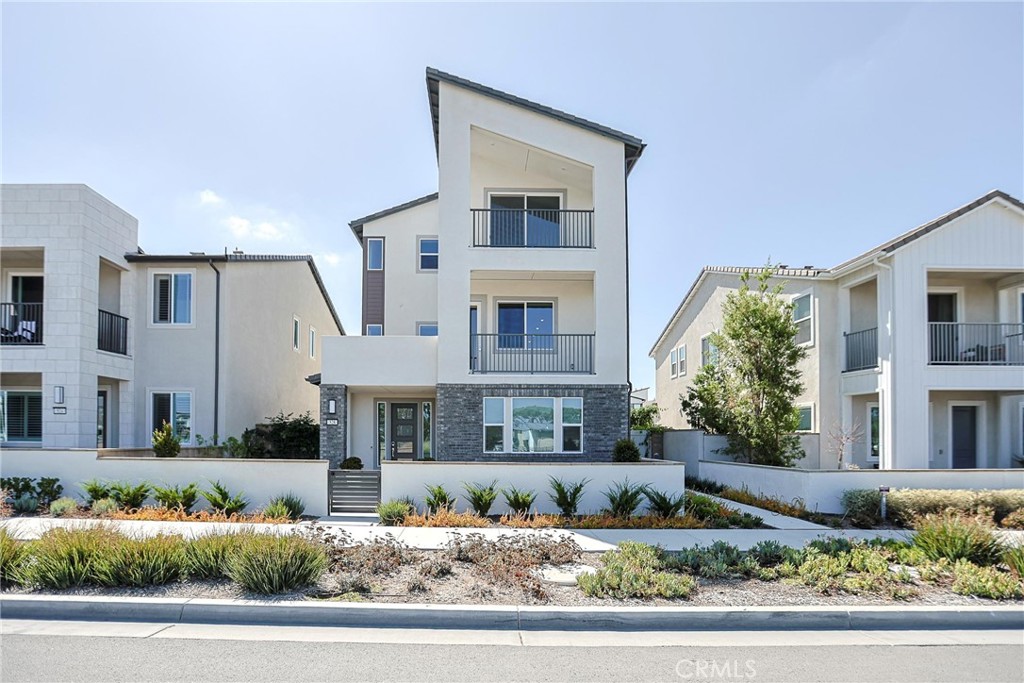 528 Gadwall — photo
