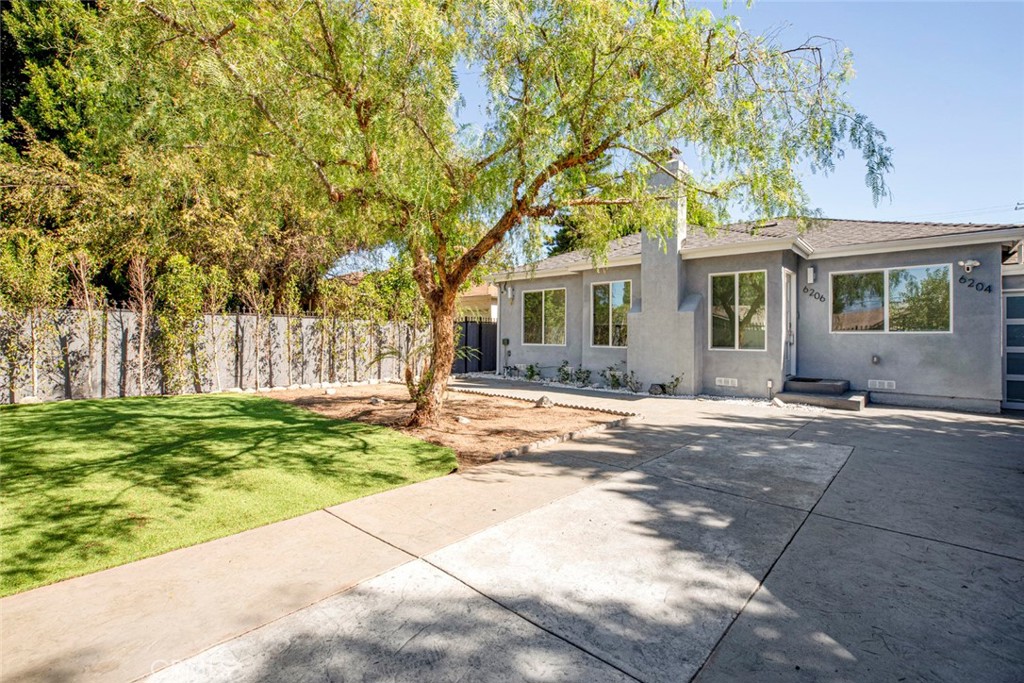 6206 Camellia — photo