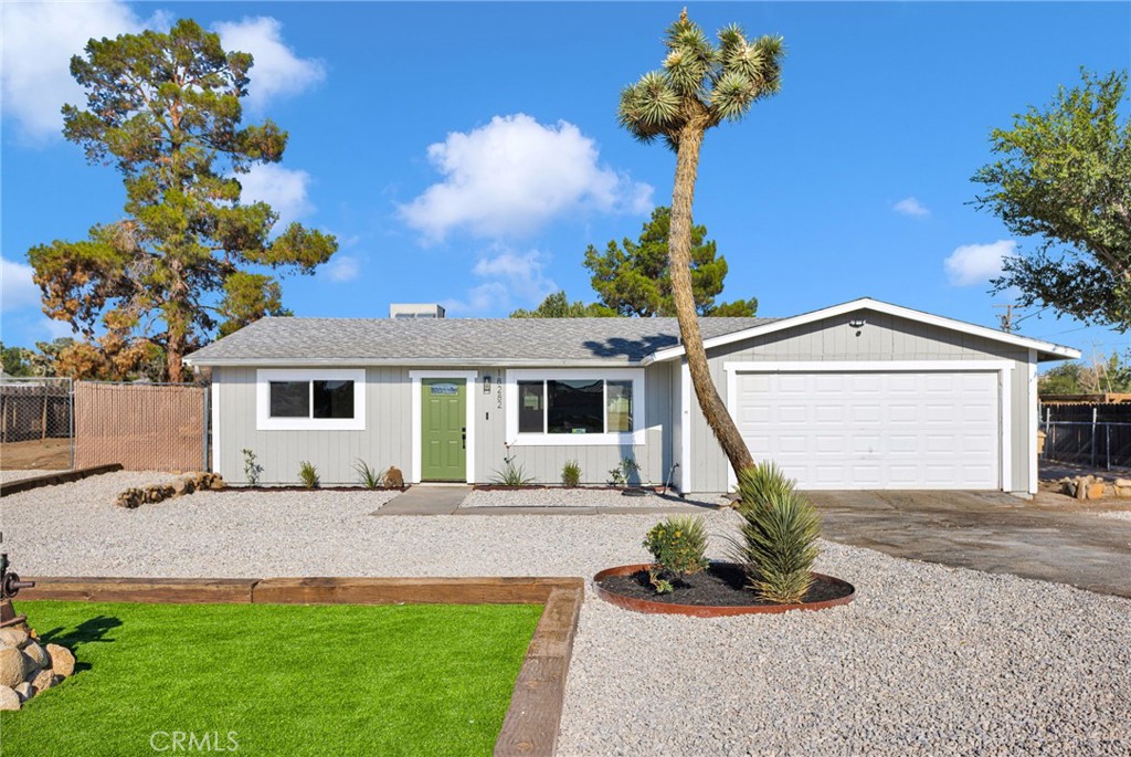 18282 Manzanita — photo