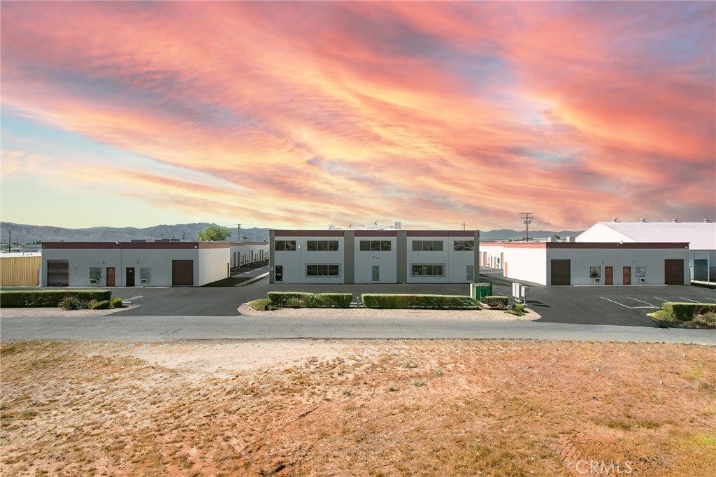17525 Alder 4 — photo