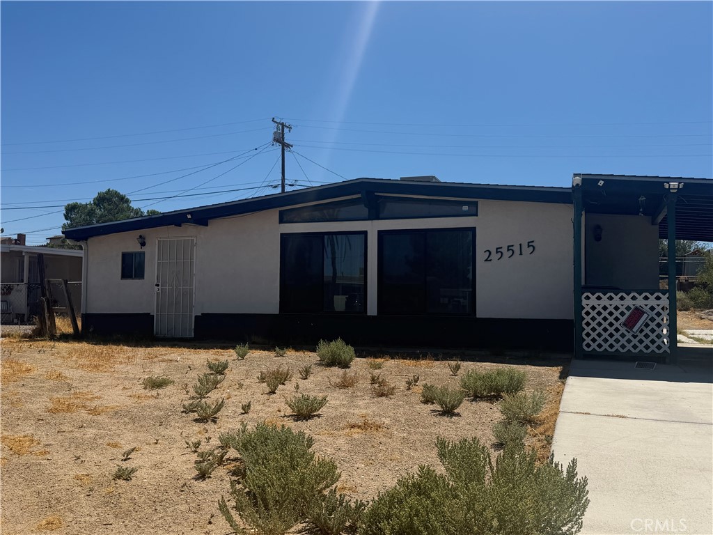25515 Cheryle — photo