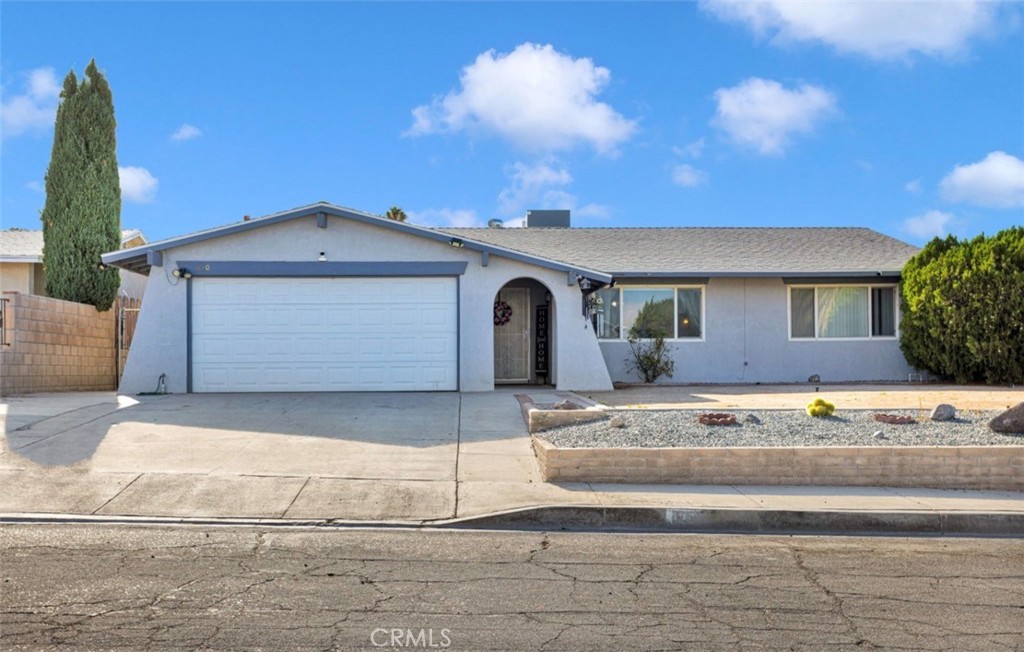 830 Cholla — photo