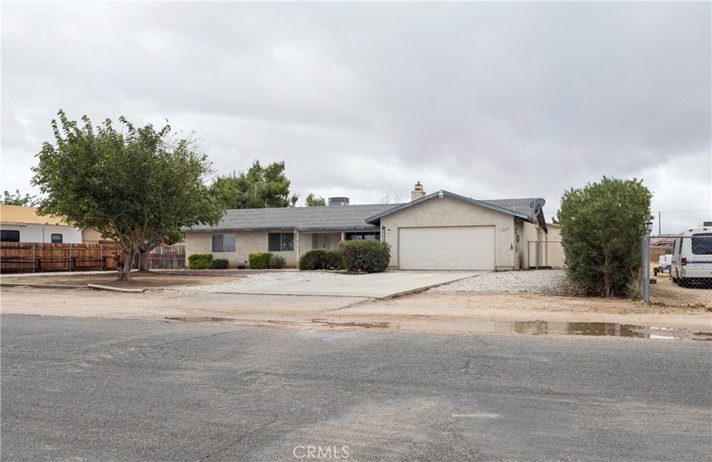 17969 Yucca — photo