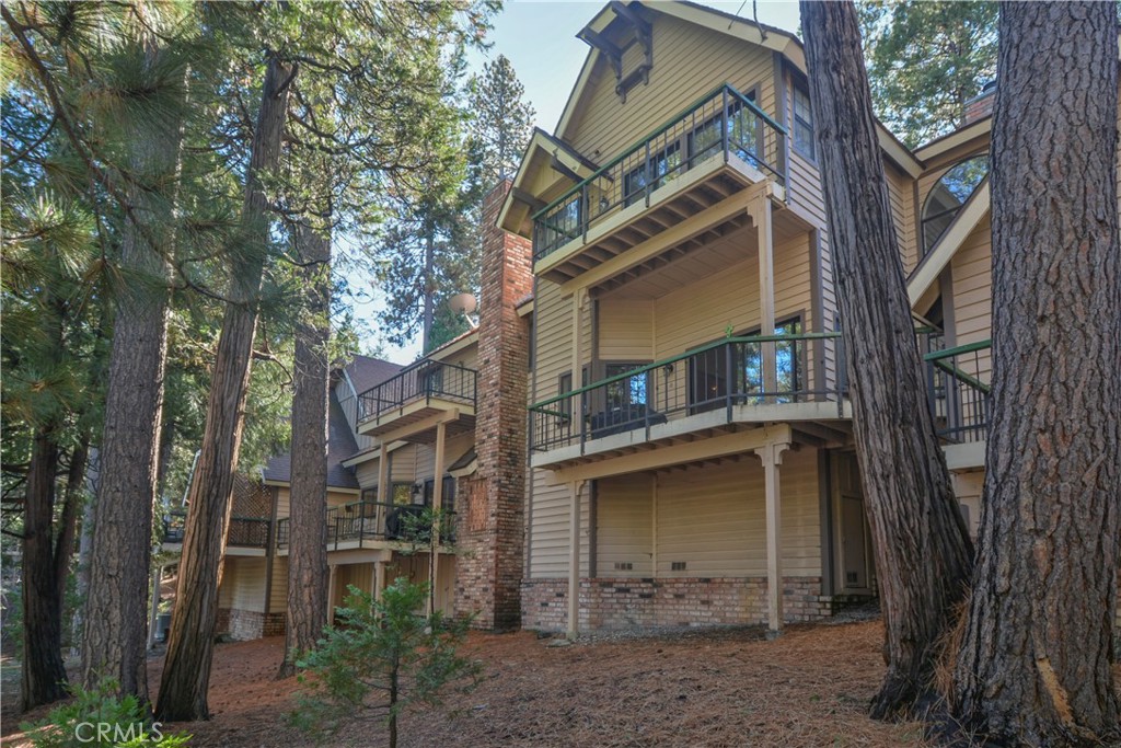 27494 White Fir — photo