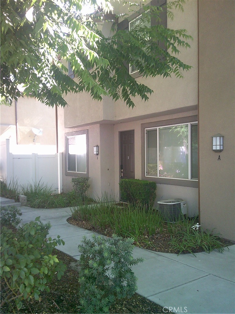 27959 Cactus B — photo