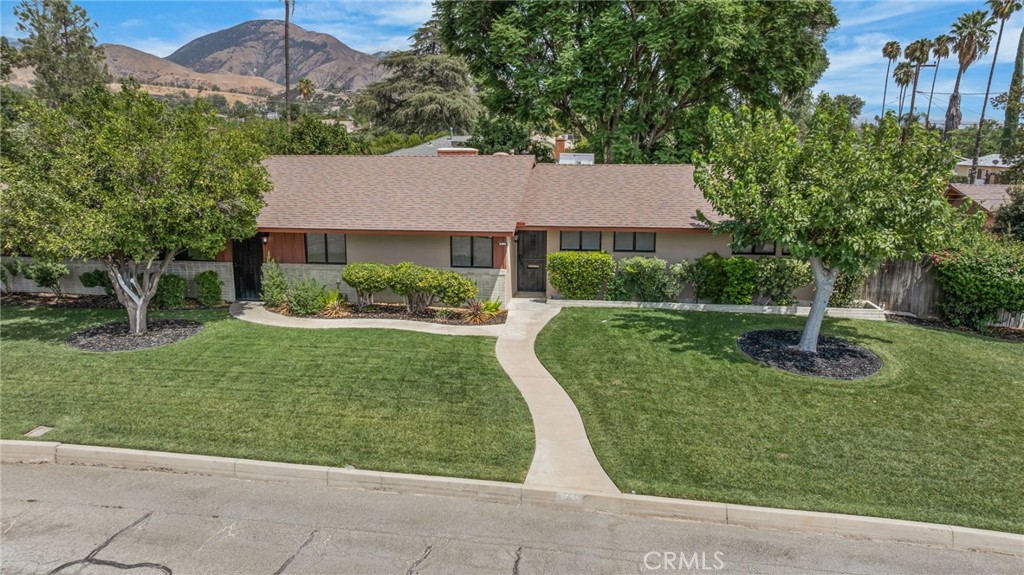 3495 Camellia Drive — photo