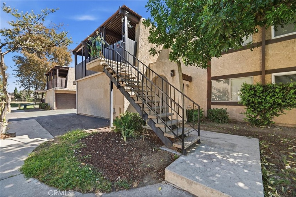 12241 Carnation D — photo