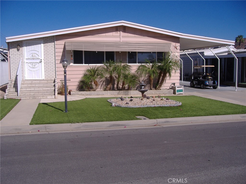 26060 Queen Palm — photo