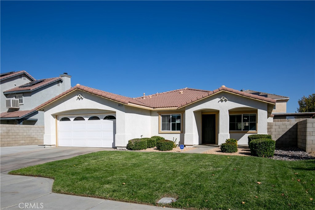 3623 Koufax — photo