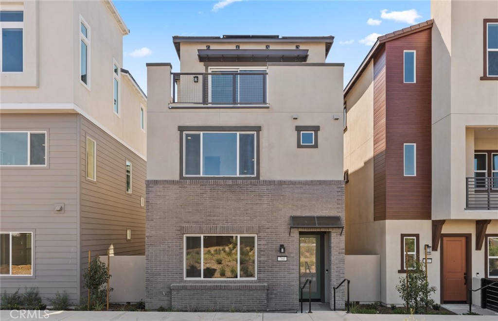 760 Gadwall — photo