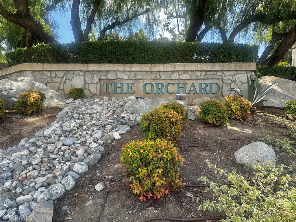 11056 Orchard View Lane — photo