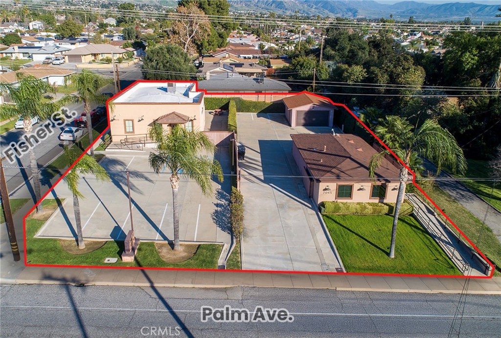 7035 7045 Palm — photo