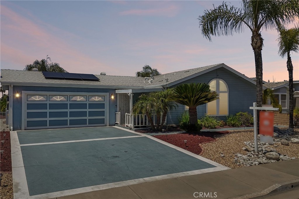 1601 Ailanthus — photo