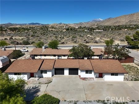 49537 Rosella B — photo