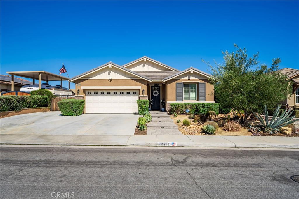 28584 Fieldgrass — photo