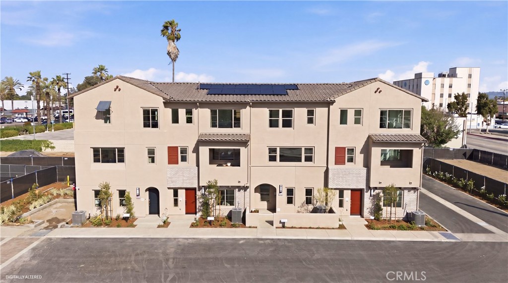 10720 Golden Koi B — photo