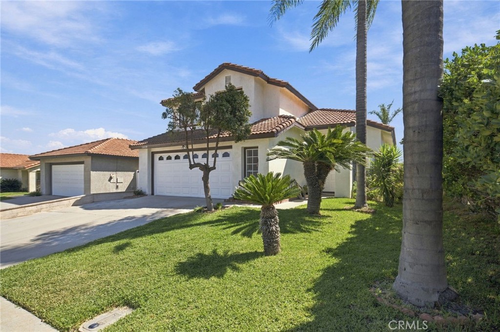 22839 Wimpole — photo