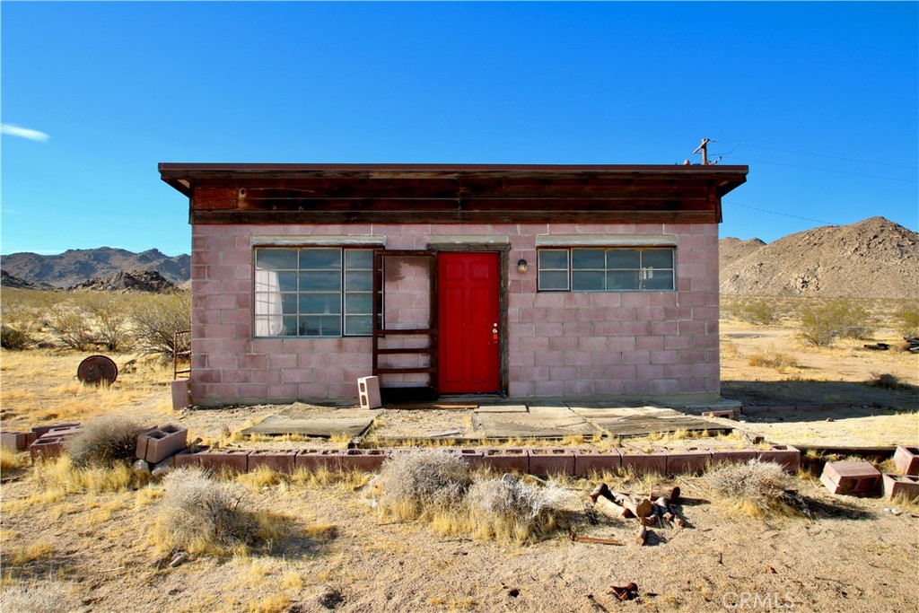 0 Cholla — photo