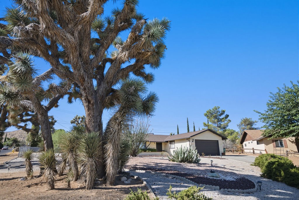 56347 Tamarisk Court — photo