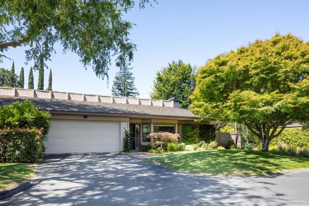 6 Bay Tree — photo