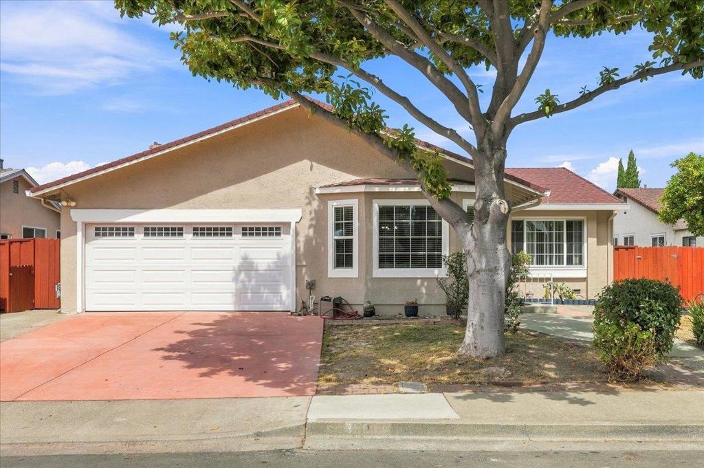 35014 Begonia Street — photo