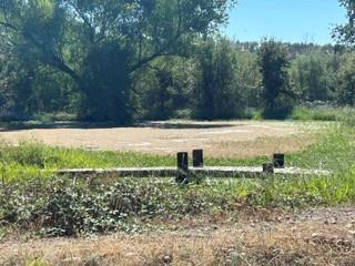 24253 Coleman Fish Hatchery — photo