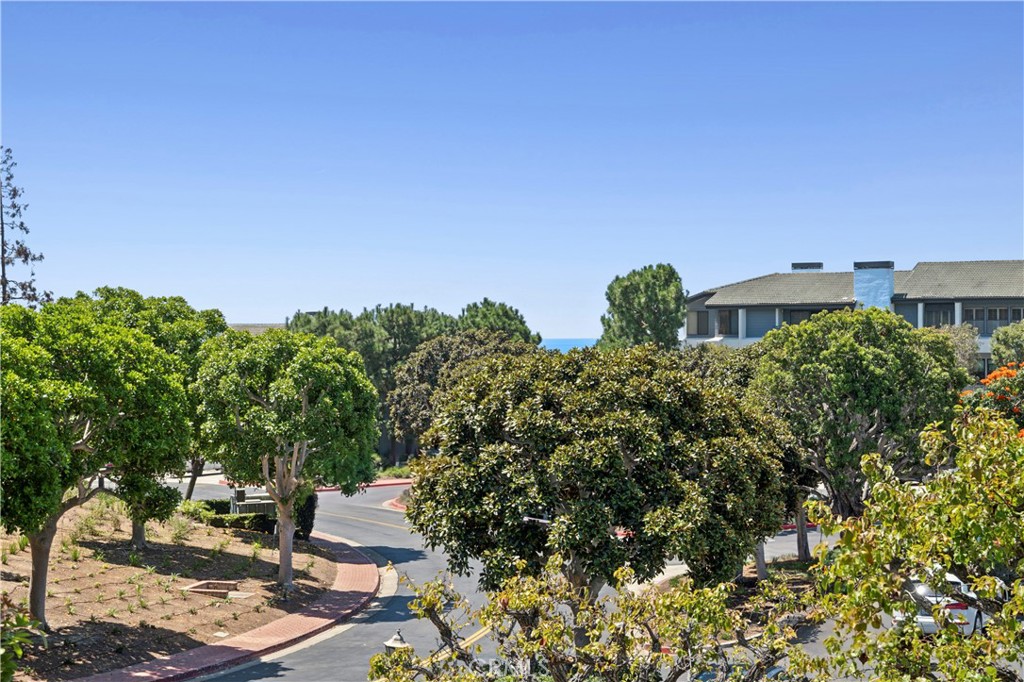 300 Cagney 206 — photo