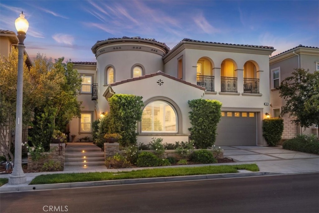 32 Hyacinth — photo