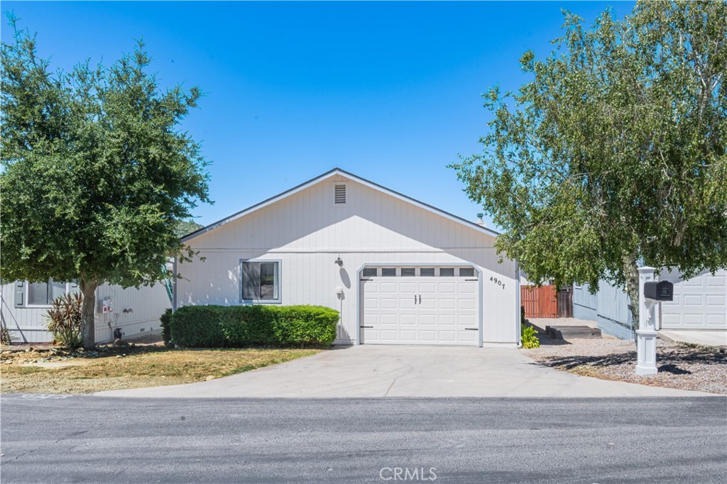 4907 Longhorn — photo