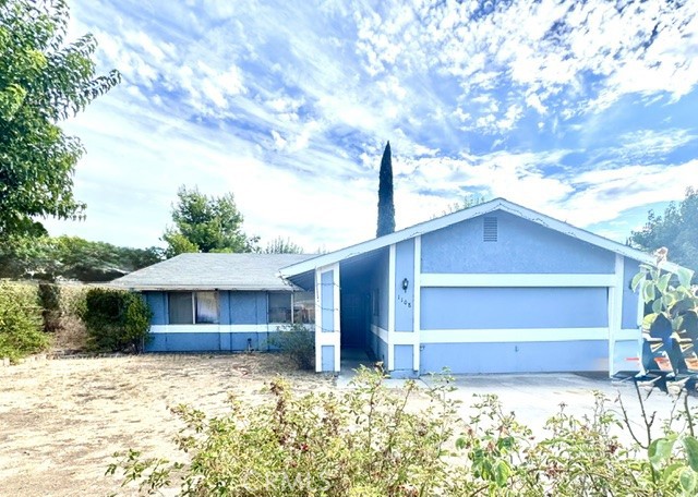 1108 Nanette — photo