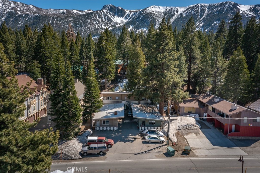 1801 Old Mammoth — photo