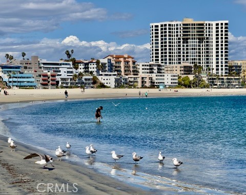 1310 E Ocean 405 — photo
