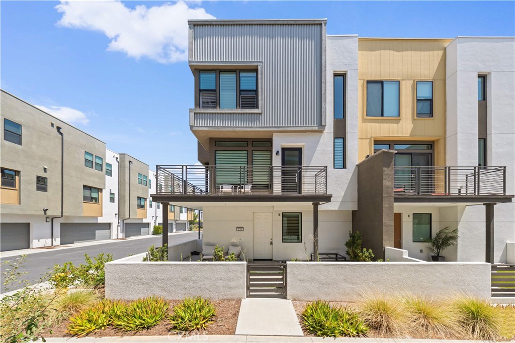 120 Sawbuck — photo