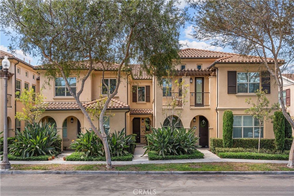 96 Rose Arch 26 — photo