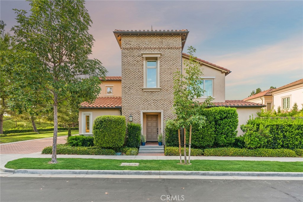 29 Lupari — photo