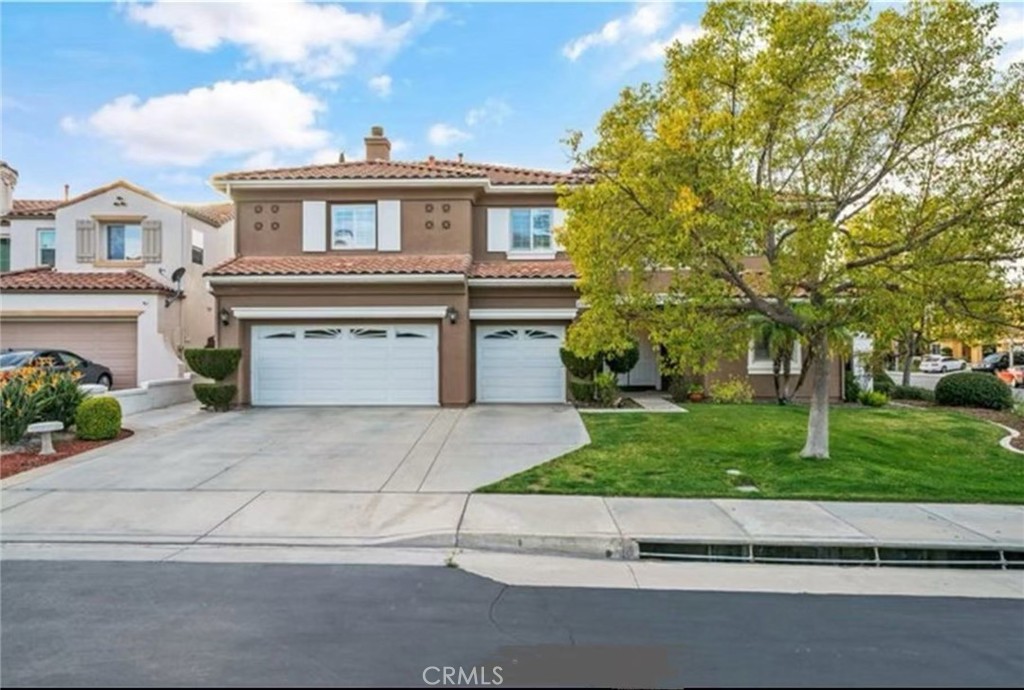 45059 Tiburcio — photo