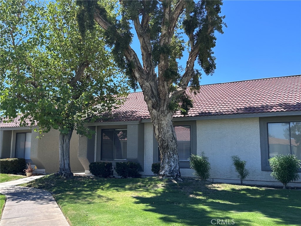 43376 Cook 28 — photo