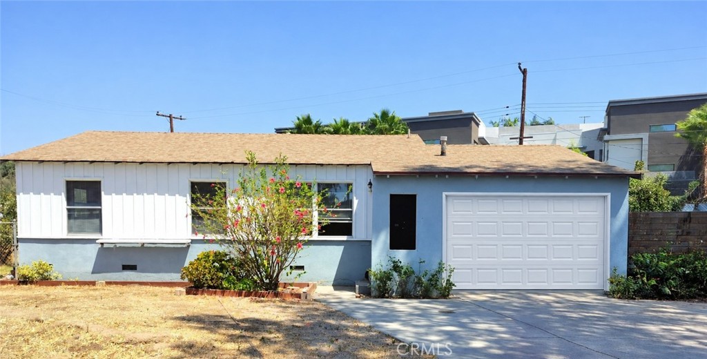 236 Olive — photo